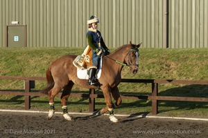 Collecting Ring Fancy Dress!